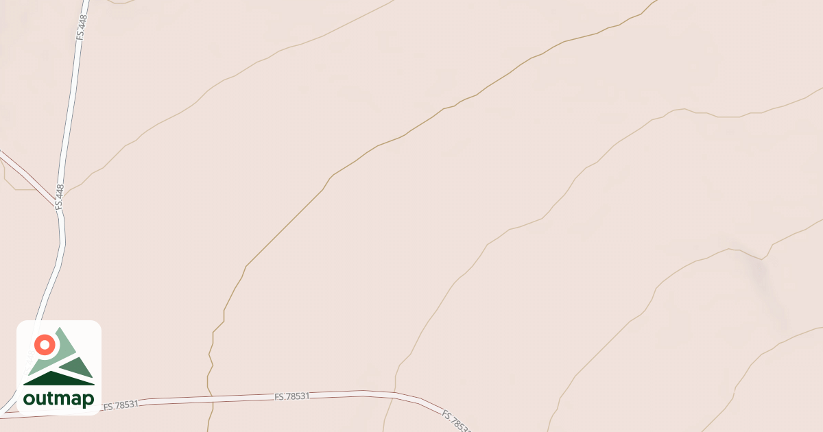 Map of USFS National Forest System Roads {74CC5E9C-B9D3-46EA-80AD-61539903446E}