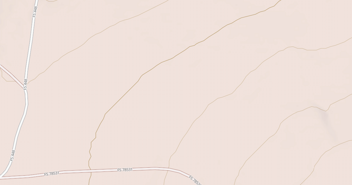 Map preview of USFS National Forest System Roads {74CC5E9C-B9D3-46EA-80AD-61539903446E}