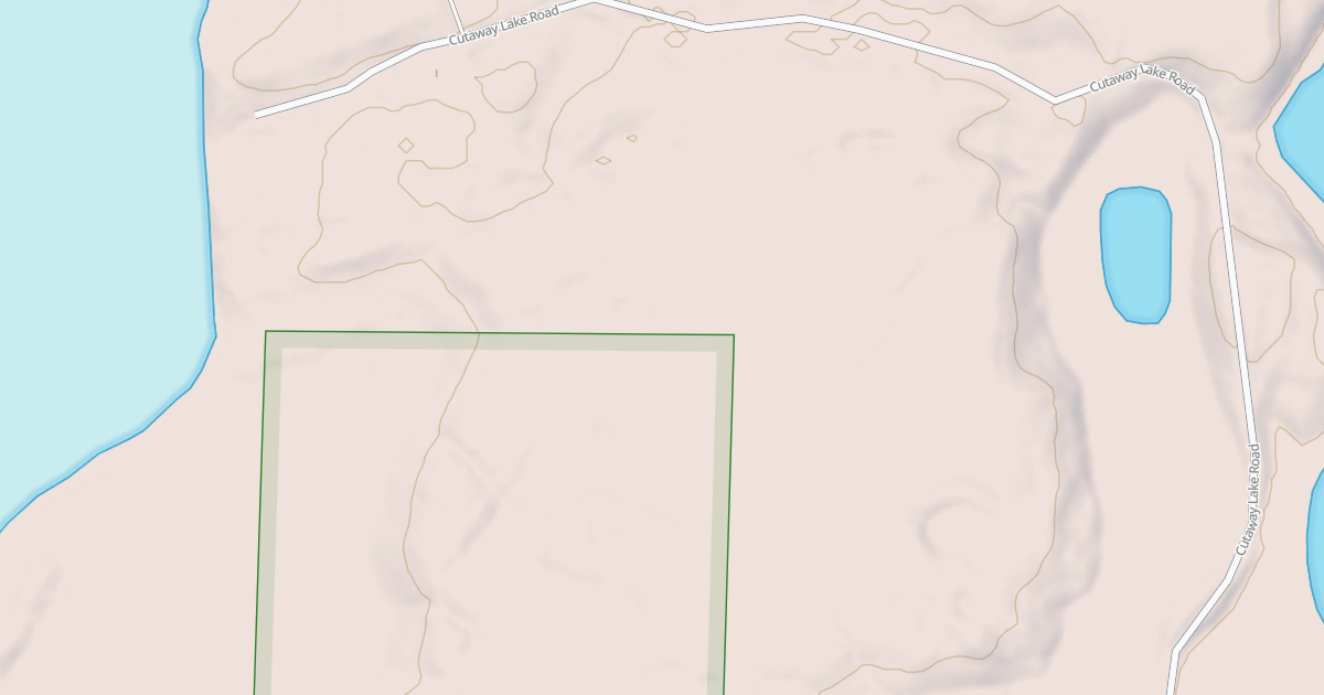 Map preview of CUTAWAY LAKE ROAD SPUR A