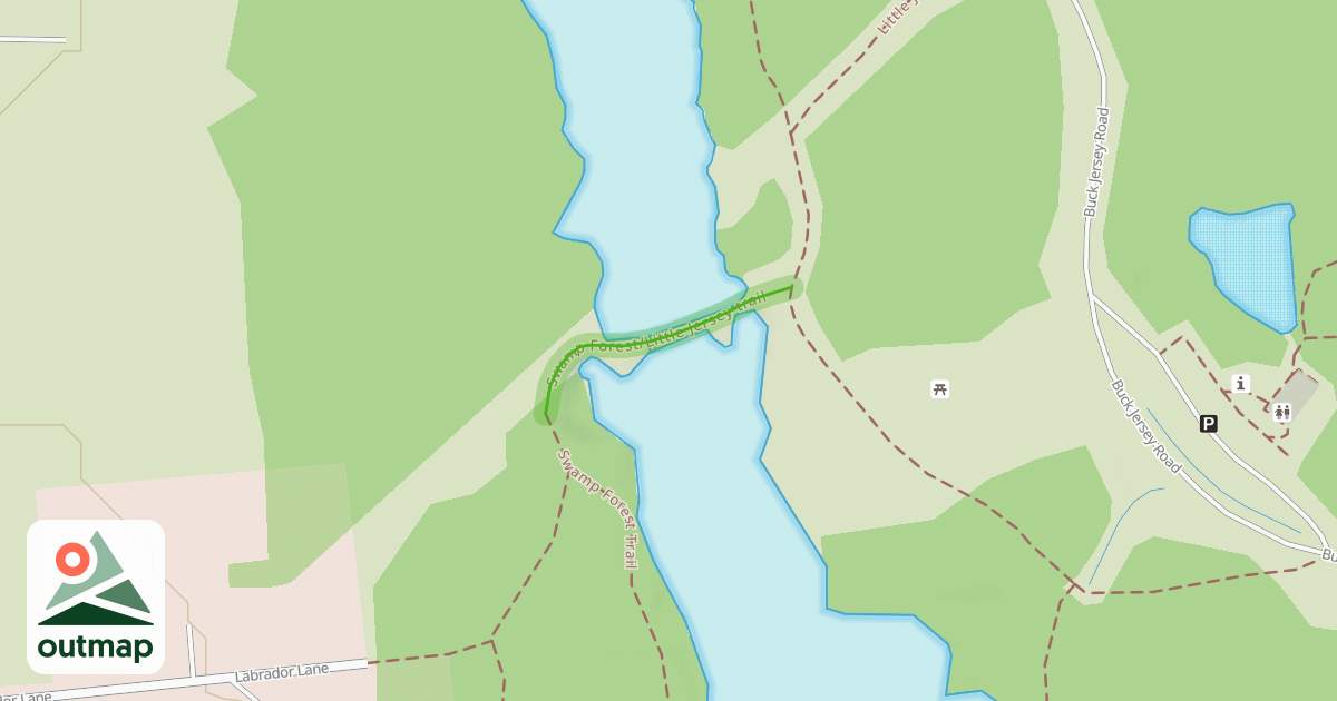 Map of Swamp Forest/Little Jersey trail