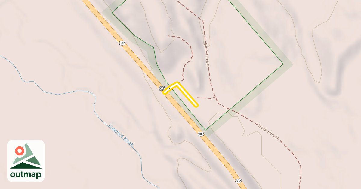 Map of Dark Forest