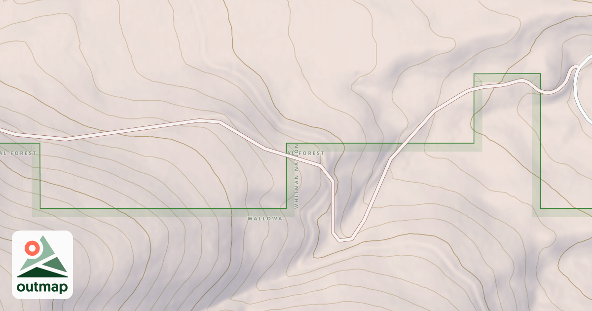 Map of USFS National Forest System Roads {8959632E-7B21-4661-A3F5-101F2C66EDA0}