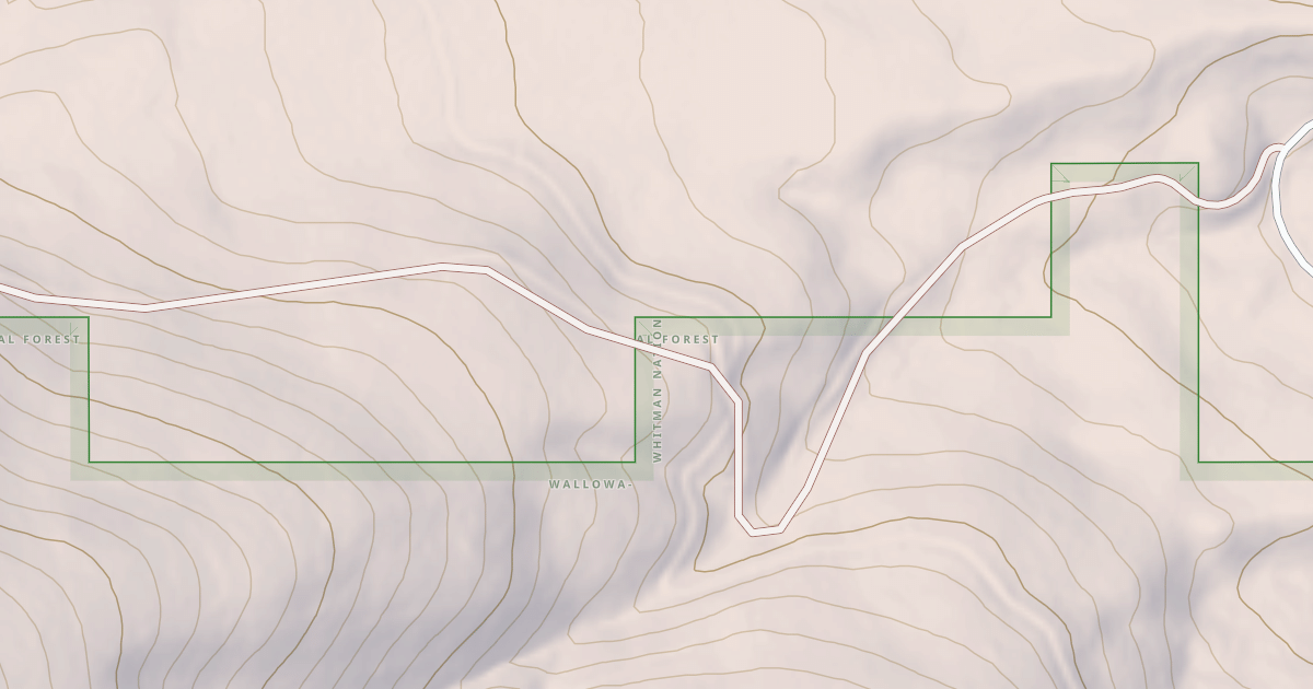 Map preview of USFS National Forest System Roads {8959632E-7B21-4661-A3F5-101F2C66EDA0}