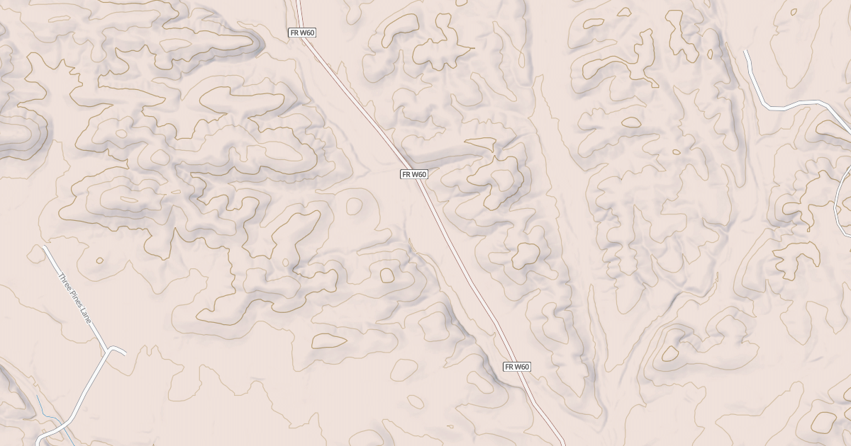 Map preview of USFS Motor Vehicle Use Map Roads {3A1DBB3D-B87C-4BE7-A89F-0567EC6E21C0}