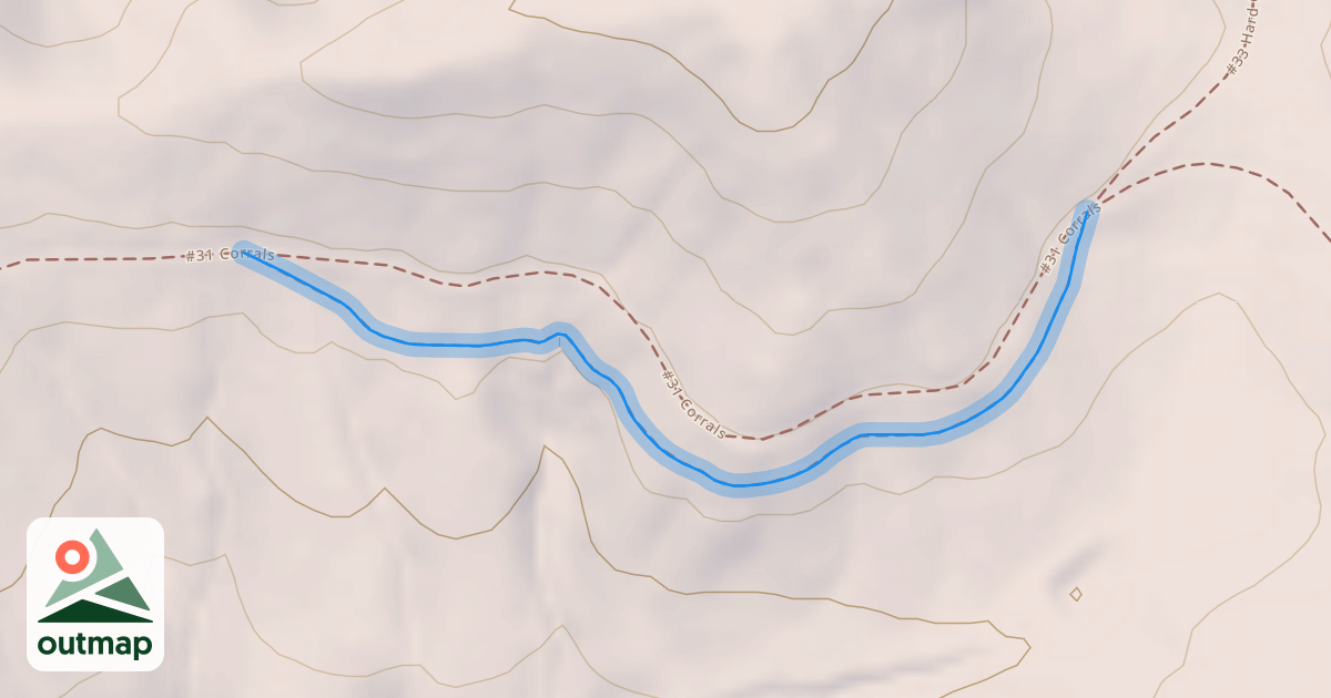 Map of #31 Corrals