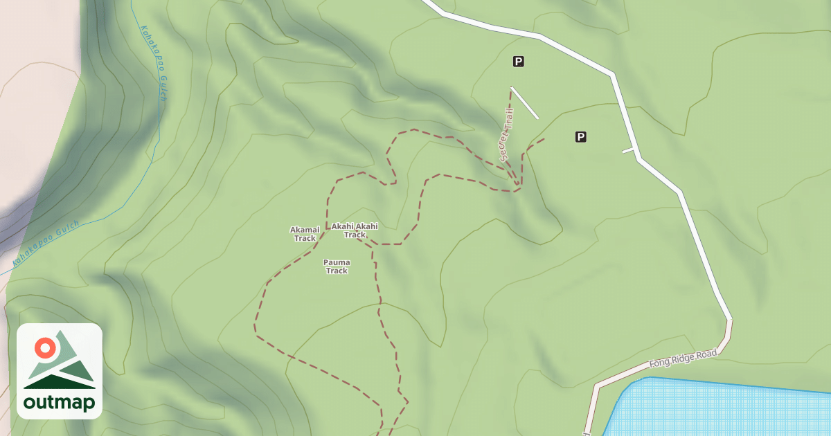 Map of Fong Ridge Road/Trail