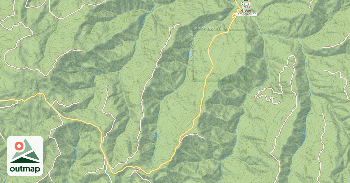 Map of USFS National Forest System Roads {C6B4E206-AF3A-42B4-8C7F-915E2C7D90B0}