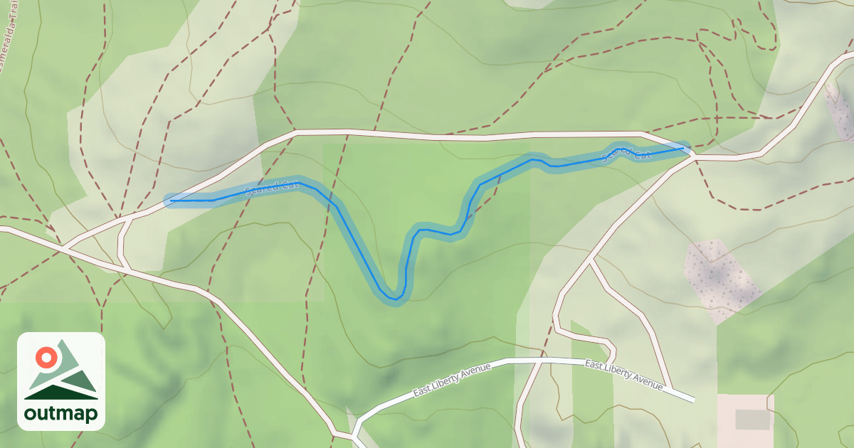 Map of Scared Cat