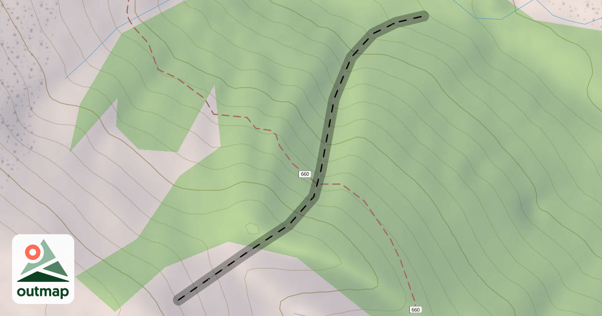 Map of Absolute Magnitude