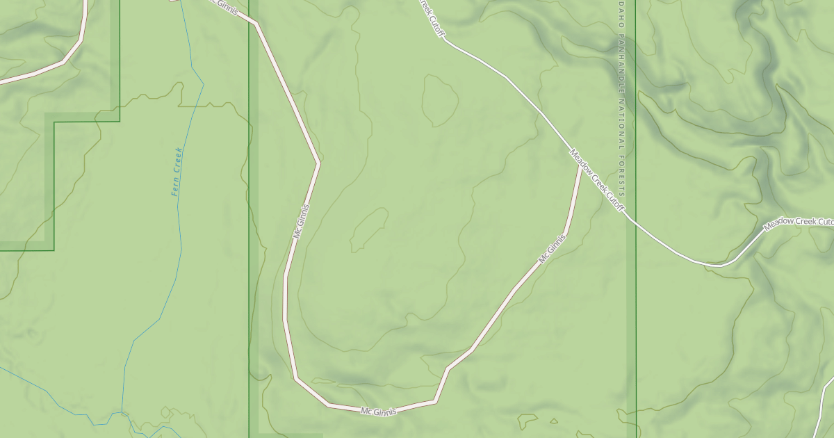 Map preview of MCGINNIS