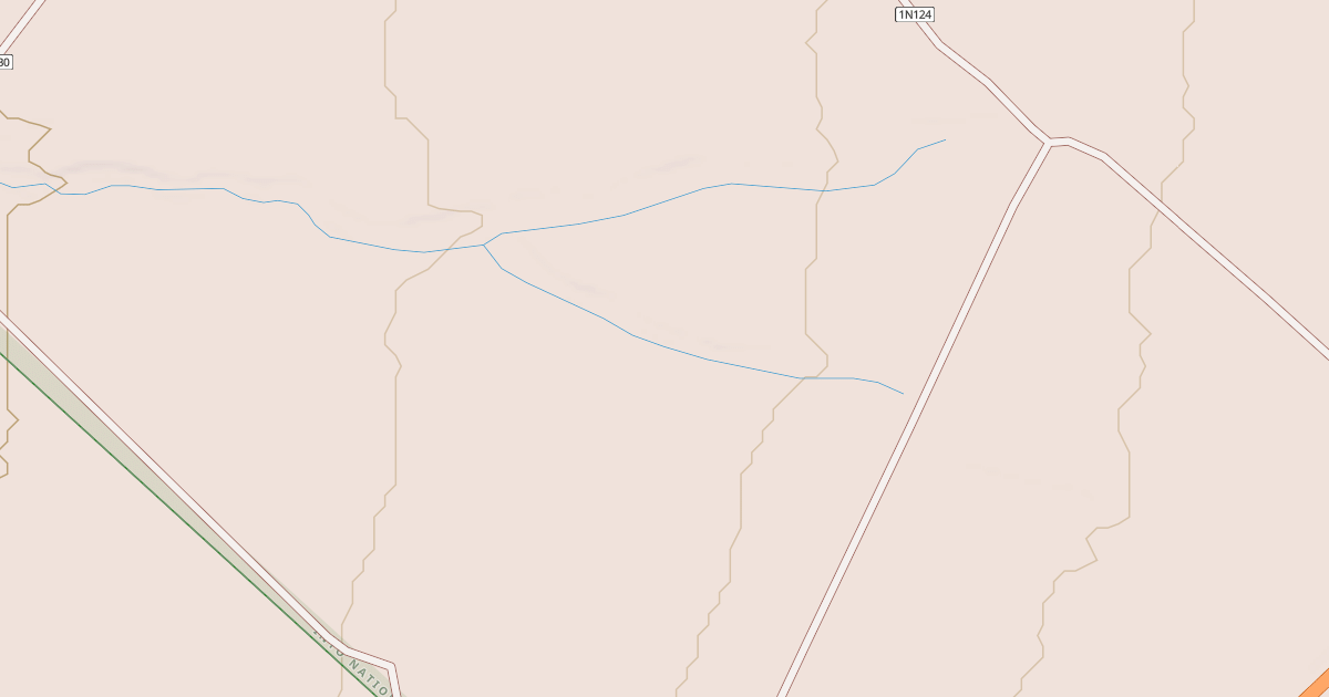 Map preview of USFS Motor Vehicle Use Map Roads {03CEBFCC-42E0-4197-9527-E09EBE39935B}