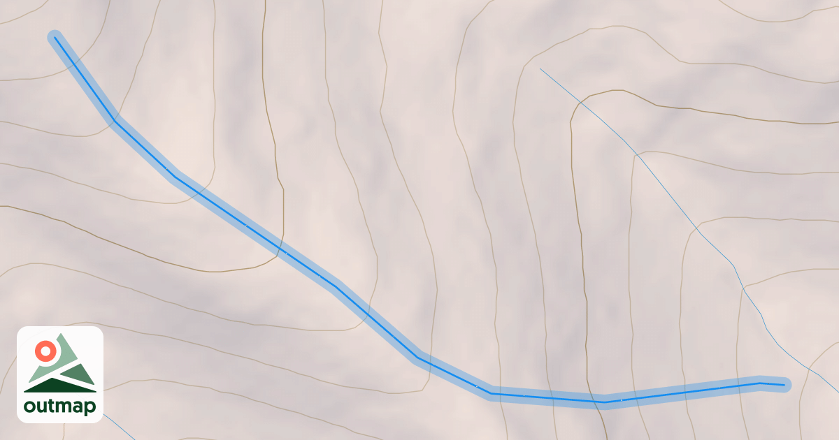 Map of Illusion