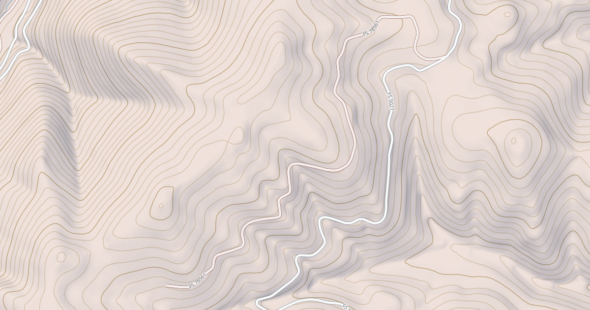 Map preview of USFS National Forest System Roads {0B85B3CA-FE5E-4366-830C-916EE58B495D}
