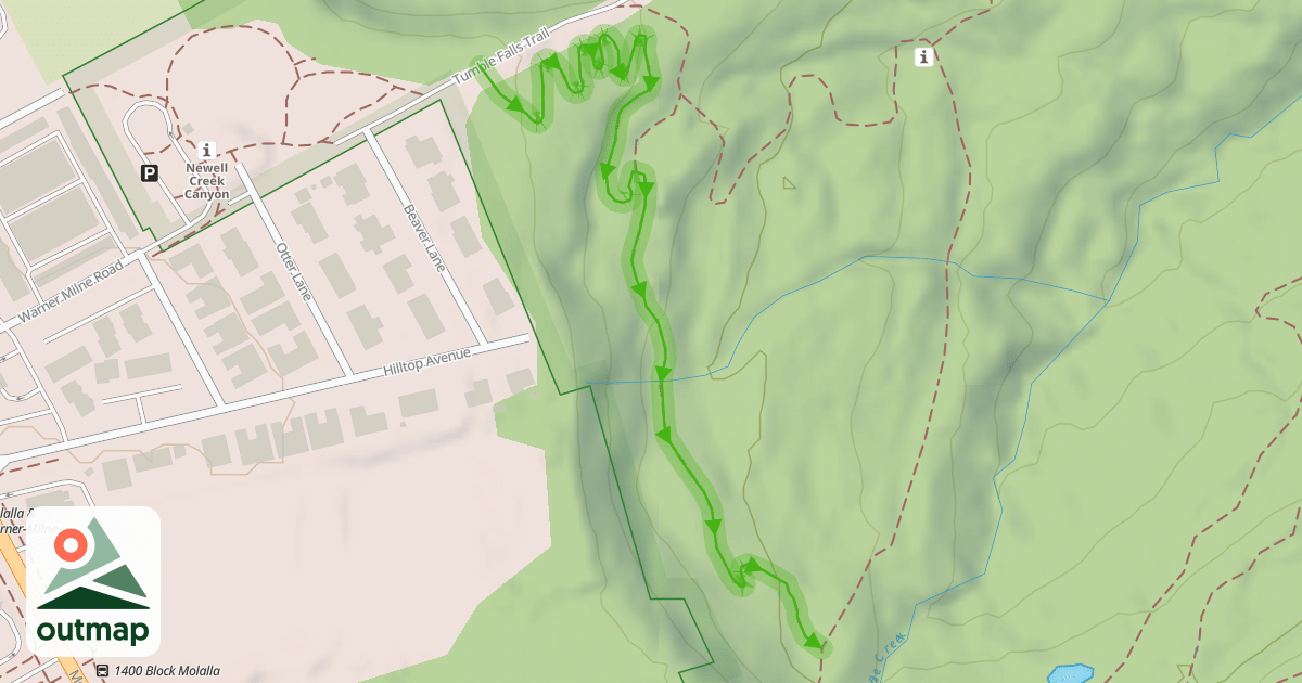 Map of Shady Lane