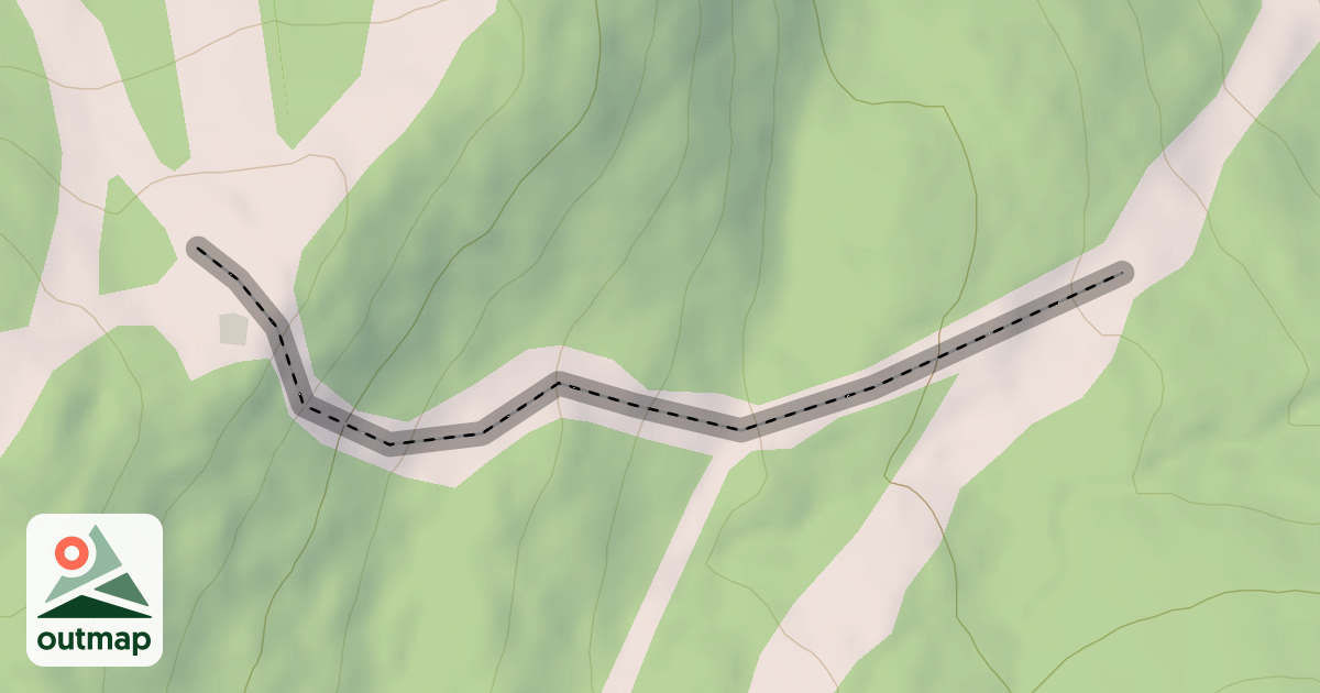 Map of Cabin Fever