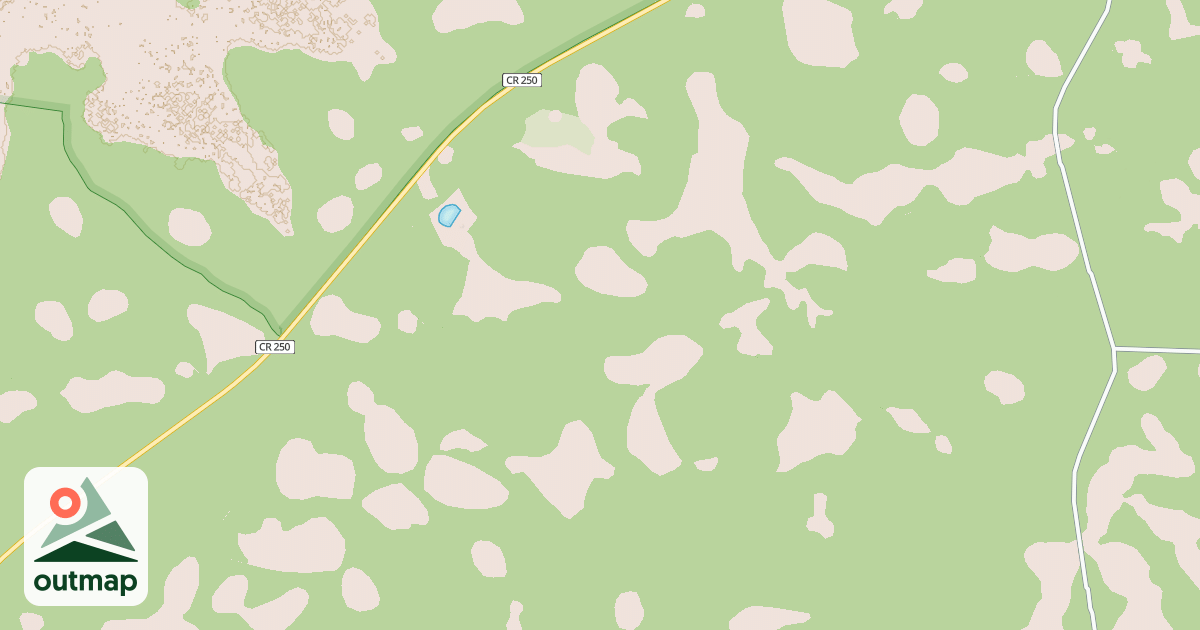 Map of USFS National Forest System Roads {78FEC7D9-10B0-4052-965D-59C02C5AFCFC}