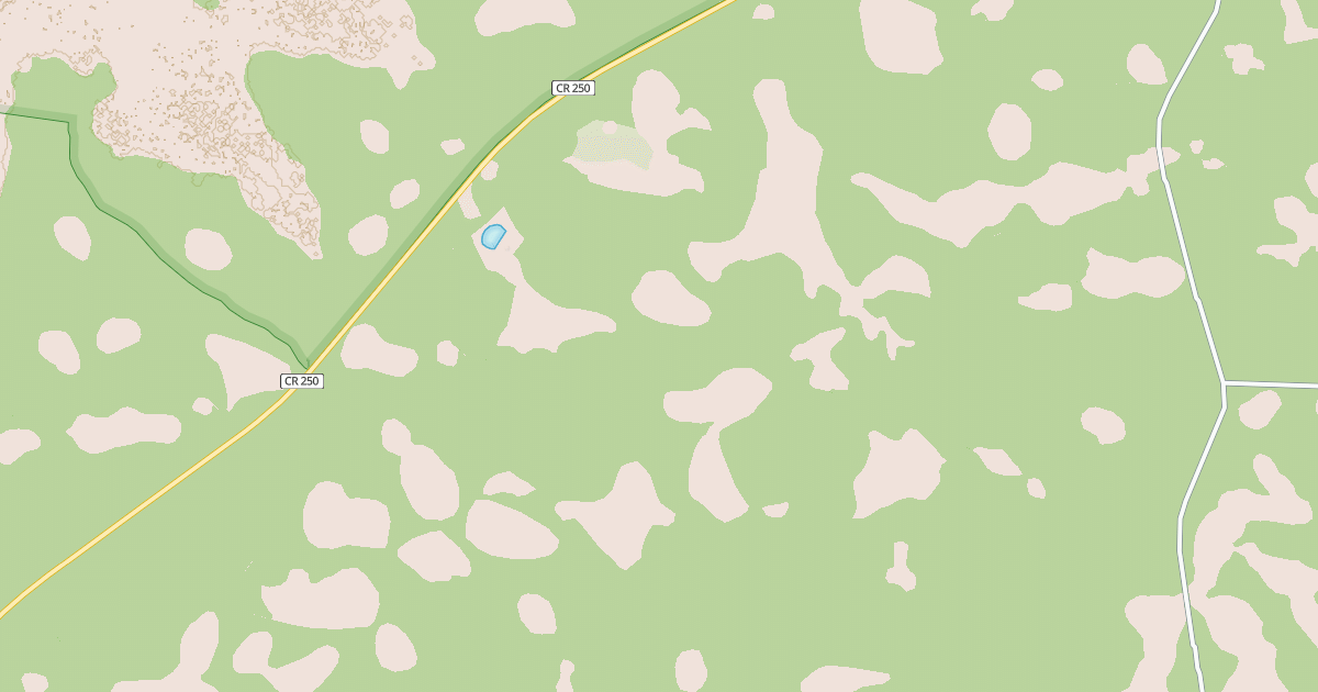 Map preview of USFS National Forest System Roads {78FEC7D9-10B0-4052-965D-59C02C5AFCFC}