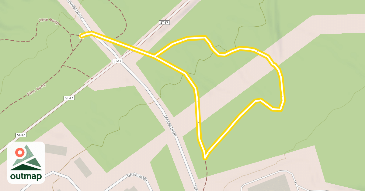 Map of Tomasi Loop