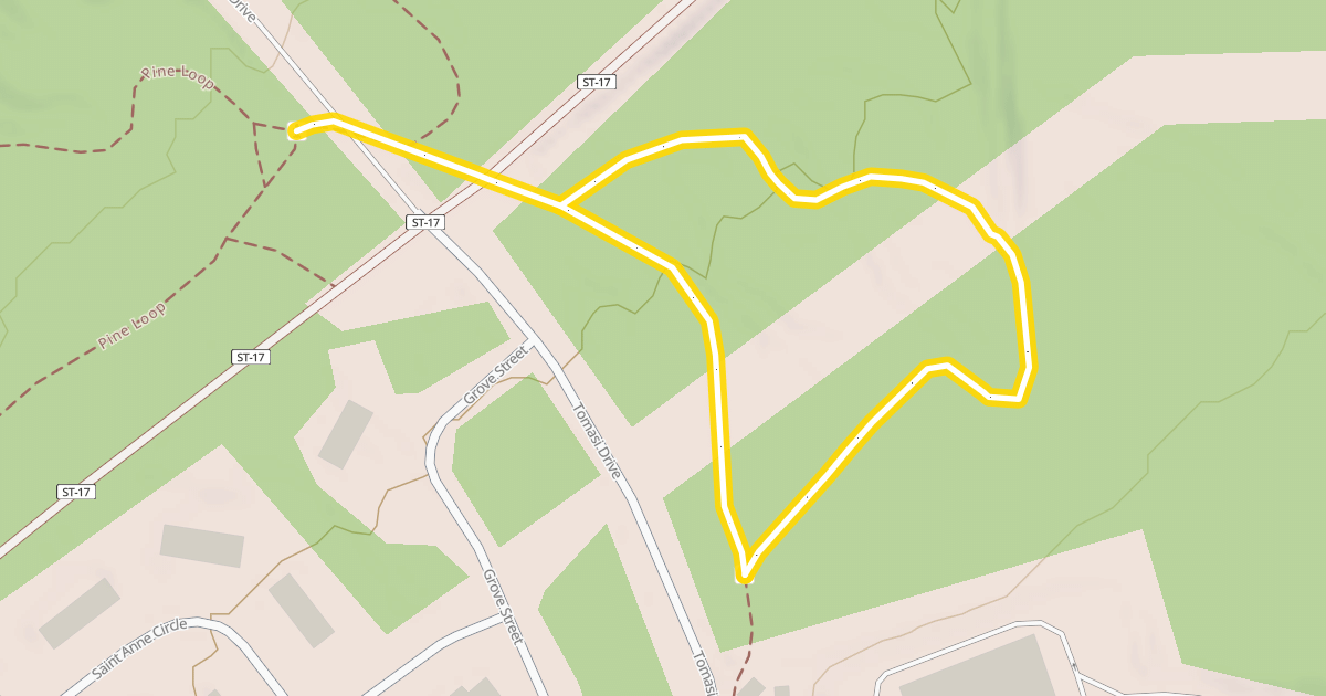 Map preview of Tomasi Loop