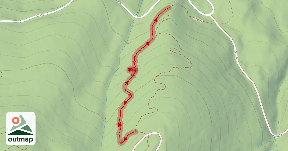 Map of Octagon