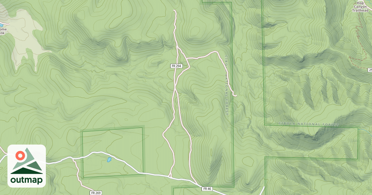 Map of USFS Motor Vehicle Use Map Roads {A51E12BF-AEA5-41F5-AC70-E58BD849BB44}