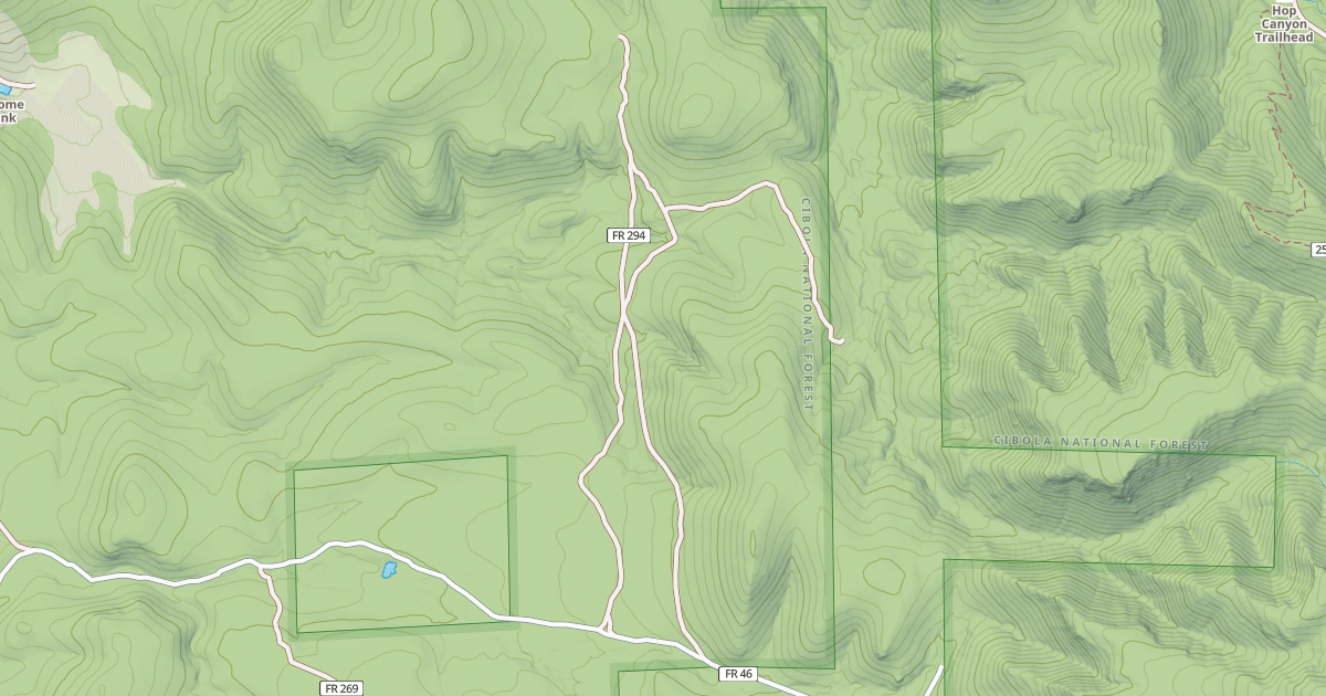 Map preview of USFS Motor Vehicle Use Map Roads {A51E12BF-AEA5-41F5-AC70-E58BD849BB44}