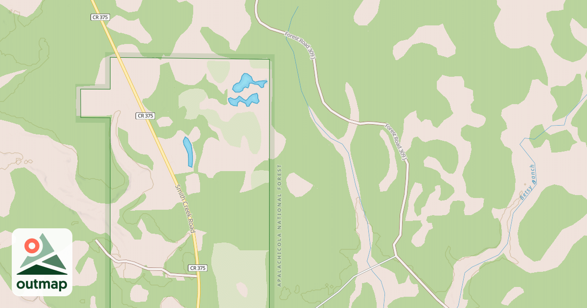 Map of USFS National Forest System Roads {B20C97DC-6971-41F9-AA8F-36F92D46D87F}