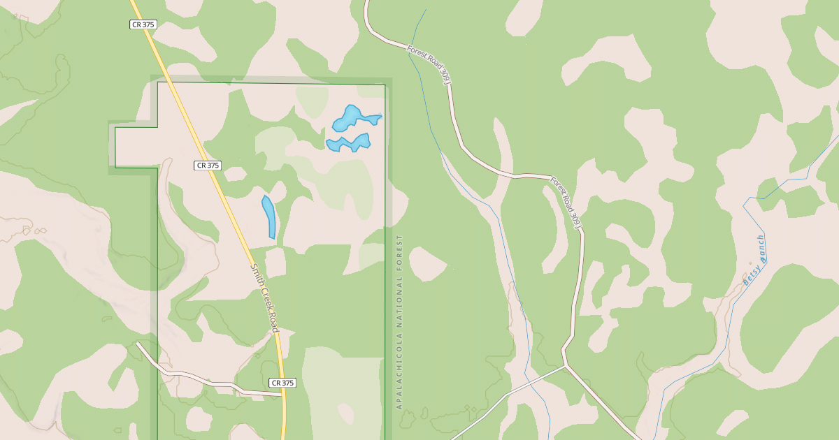 Map preview of USFS National Forest System Roads {B20C97DC-6971-41F9-AA8F-36F92D46D87F}