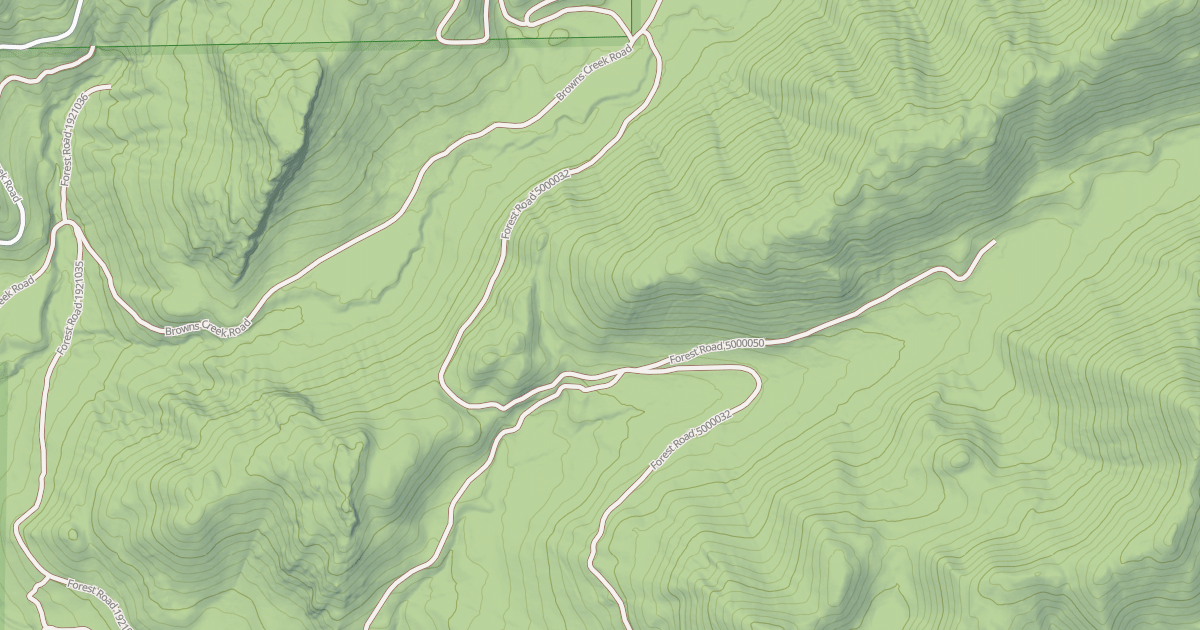 Map preview of USFS Motor Vehicle Use Map Roads {00255319-E8C0-494C-9646-7841E8CE9EBD}