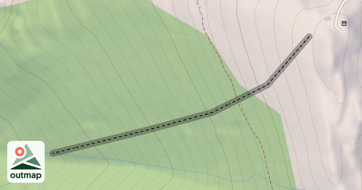 Map of East Woods