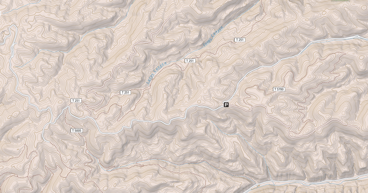 Map preview of USFS Motor Vehicle Use Map Roads {4764653B-4FD0-4117-98D9-97D4CCBAE51B}