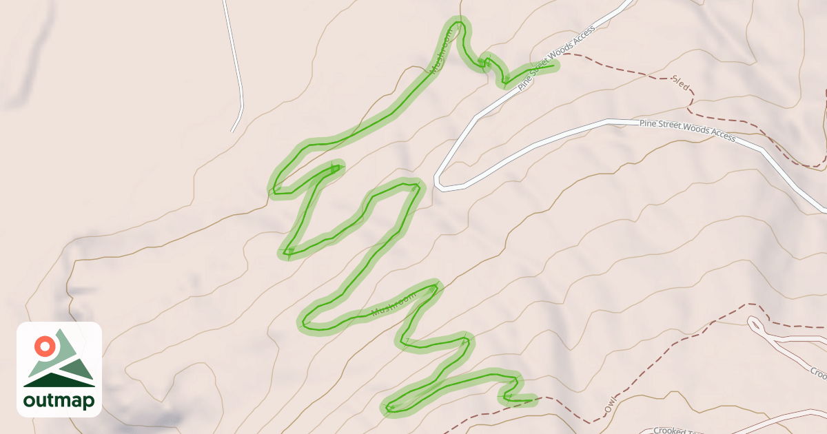 Map of Mushroom