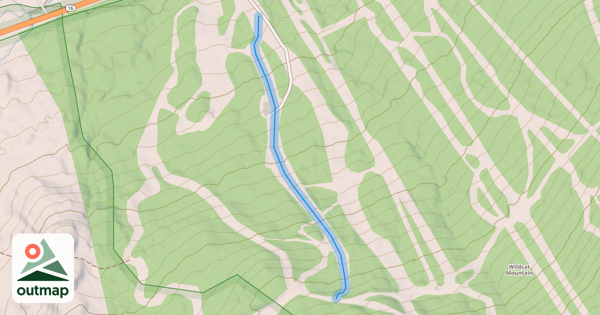 Map of Cheetah