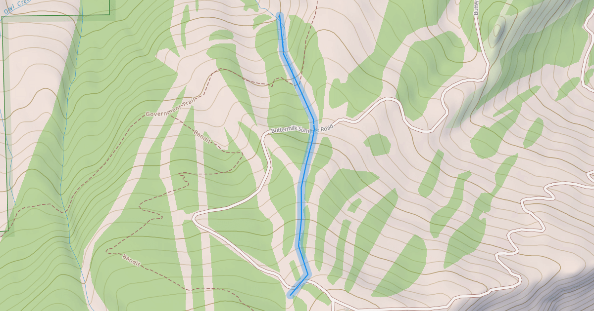 Map preview of Camp Bird