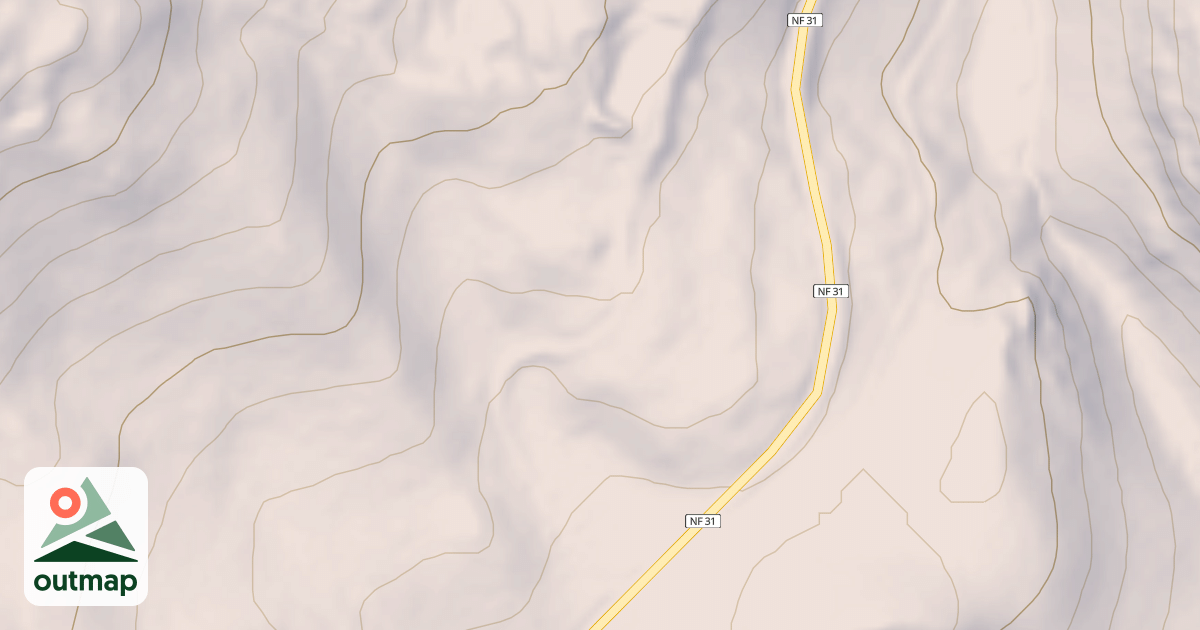 Map of USFS National Forest System Roads {19E784DB-CCF8-4050-BB32-62F4CA5C3AD6}