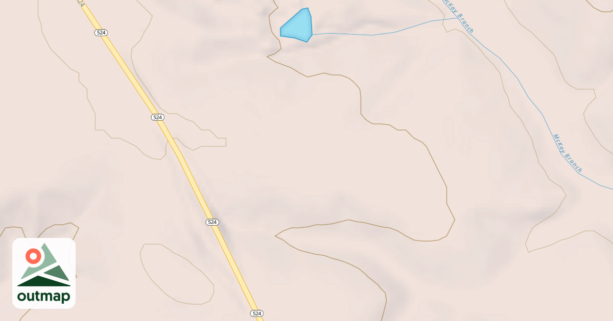 Map of 1194