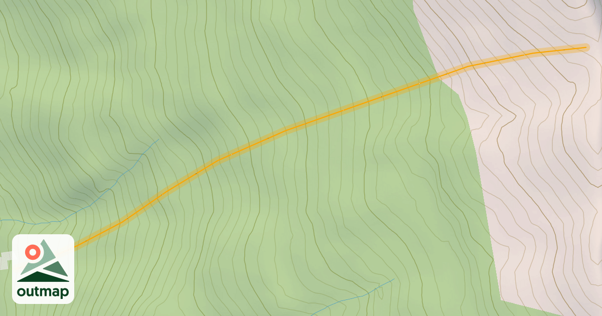 Map of Burnt Forest