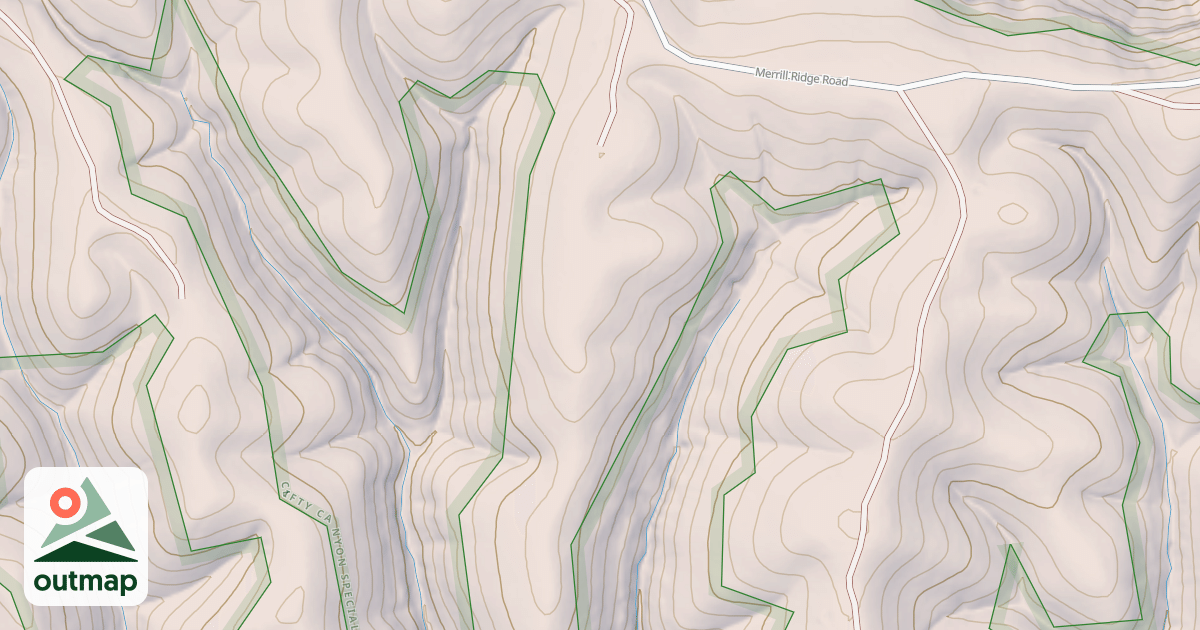 Map of USFS National Forest System Roads {BD279E9F-E143-4B6B-BB0C-9E13E54585D2}