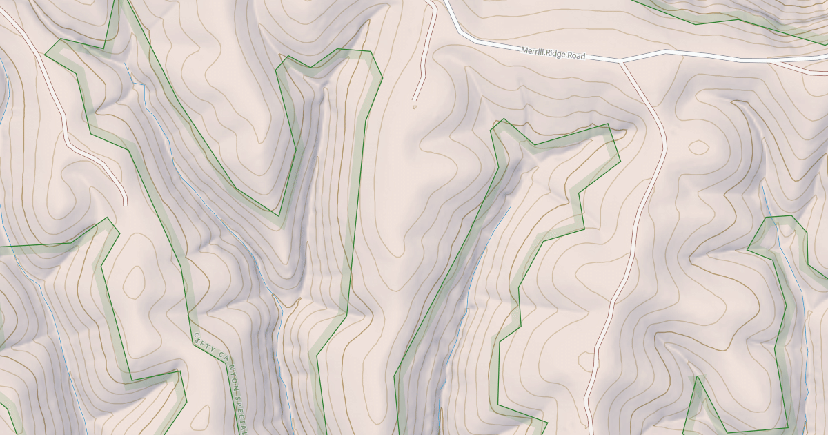 Map preview of USFS National Forest System Roads {BD279E9F-E143-4B6B-BB0C-9E13E54585D2}