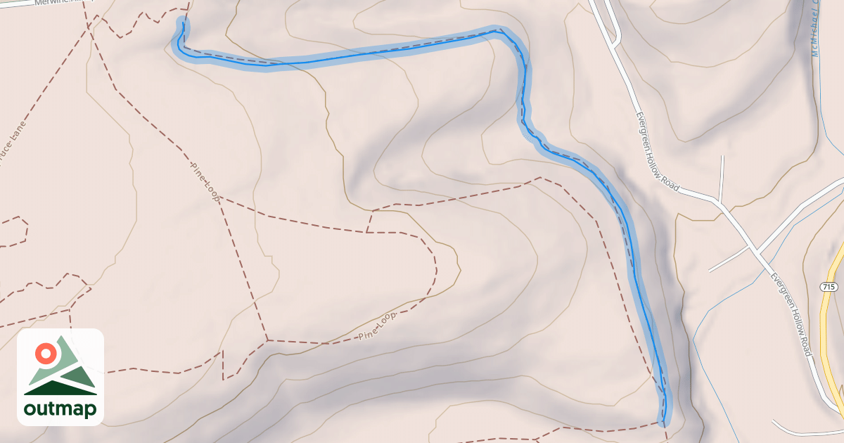 Map of No Bones