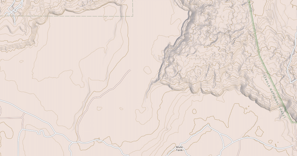 Map preview of USFS National Forest System Roads {66EB0395-6196-4FDD-AD9A-C5867DC437C6}