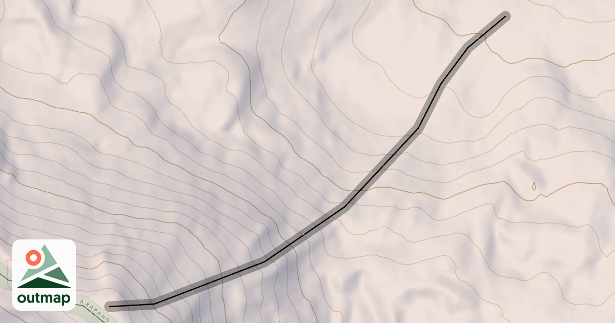 Map of Wild Child