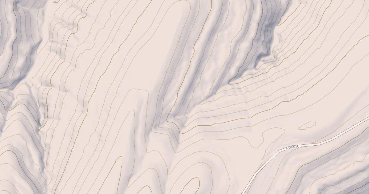 Map preview of USFS Motor Vehicle Use Map Roads {51579587-97FC-4710-BB4E-4B92D2DC79F9}