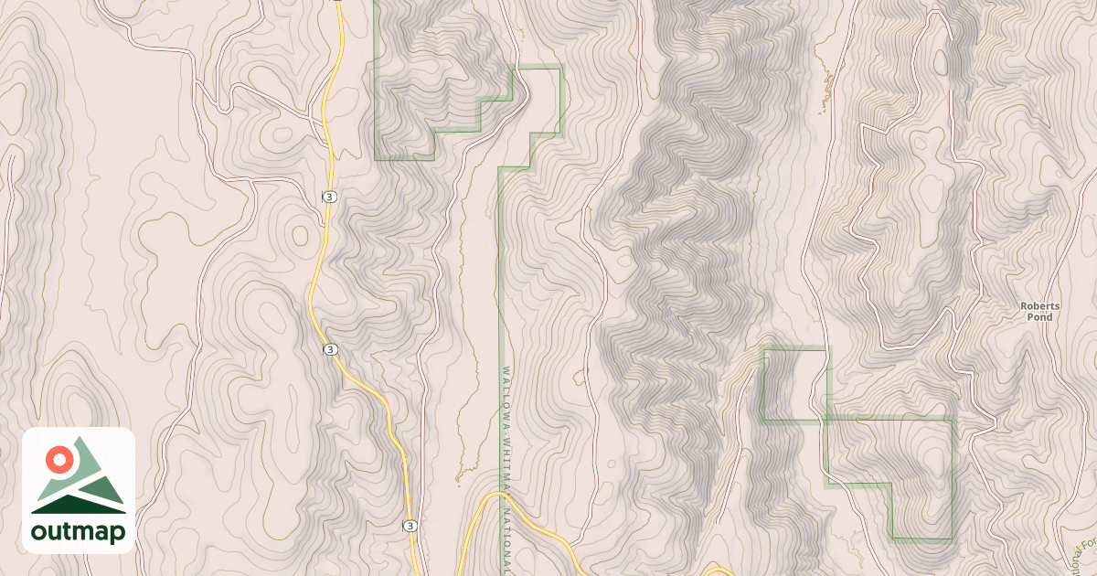 Map of N202C E SIDE SPUR