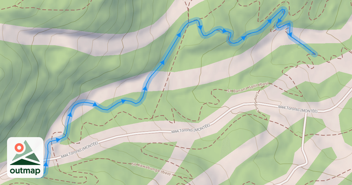 Map of 57 La Veuse (bas)