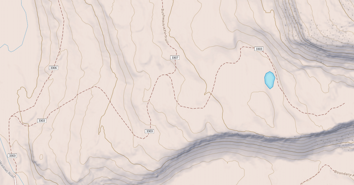 Map preview of BIRDS EYE ATV