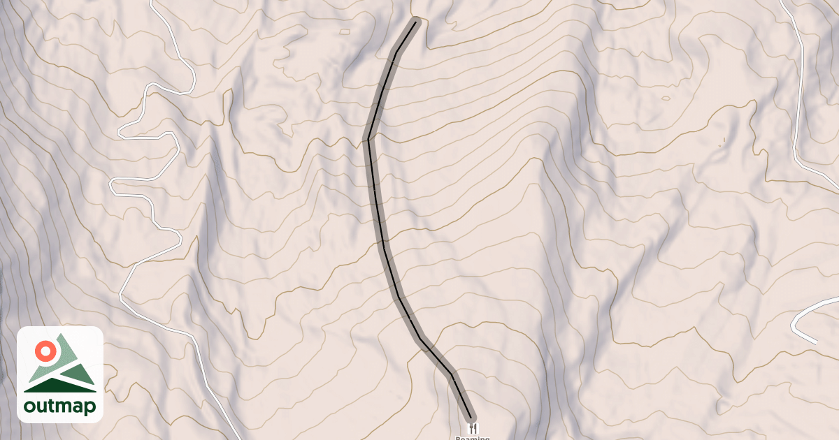 Map of Zinger