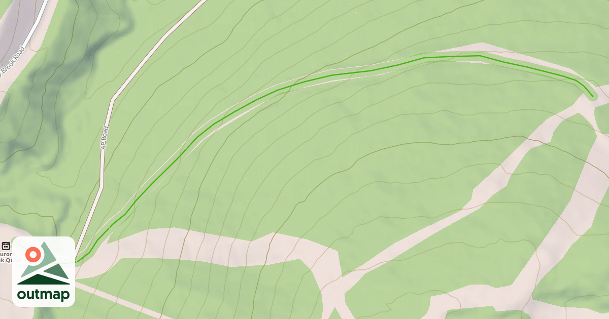 Map of Sensation