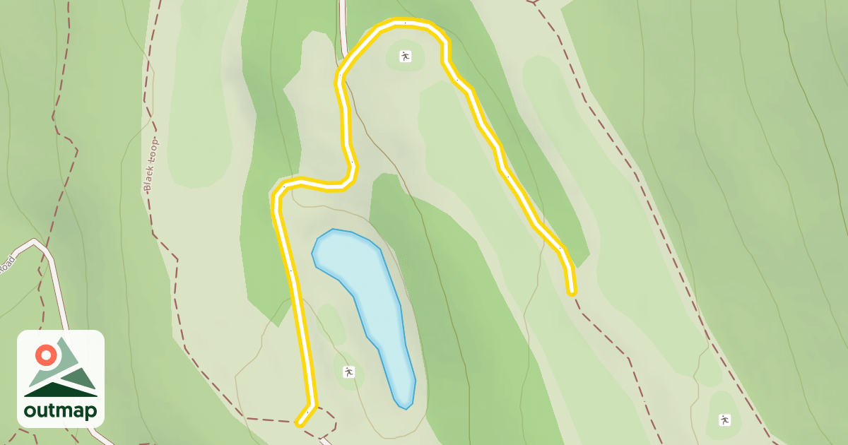Map of Lee's Leap