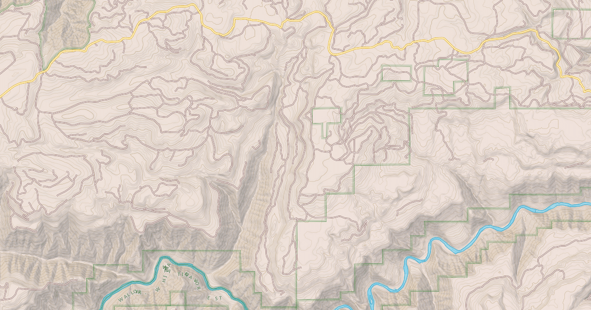 Map preview of USFS Motor Vehicle Use Map Roads {C046771D-877C-40C0-9E1C-ACC06C76F61A}